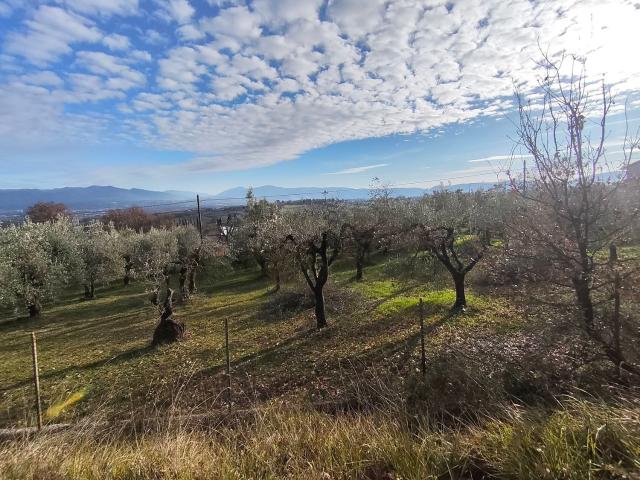 Terreno in vendita a San Gemini, Umbria