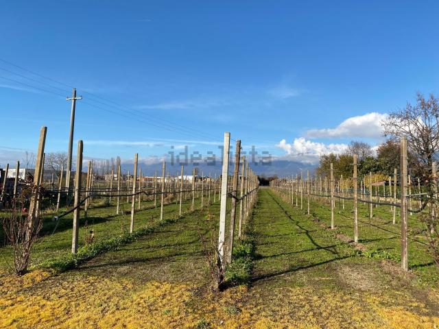 Terreno in vendita a Orsago, Veneto