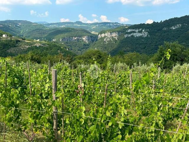 Terreno in vendita a Fumane, Veneto