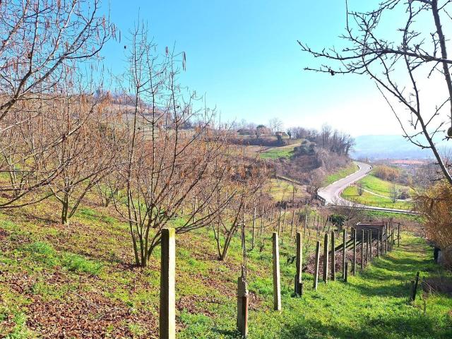 Terreno in vendita a Cinzano, Piemonte