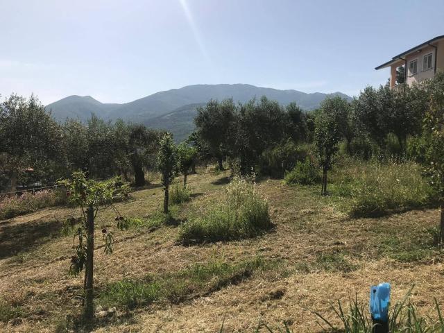 Terreno in vendita a Foglianise, Campania