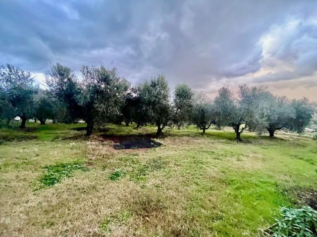 Terreno in vendita a Follonica, Toscana
