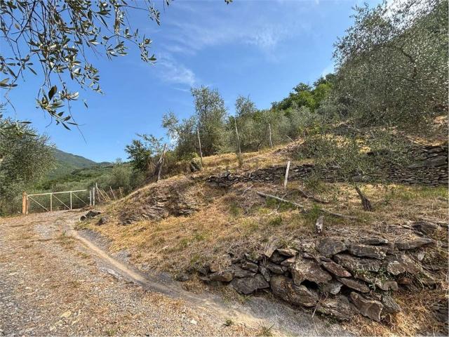 Terreno in vendita a Aquila Di Arroscia, Liguria