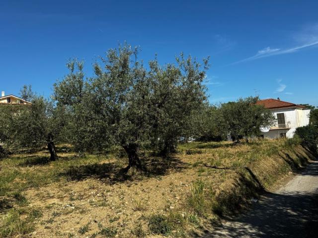 Terreno in vendita a Pianella, Abruzzo