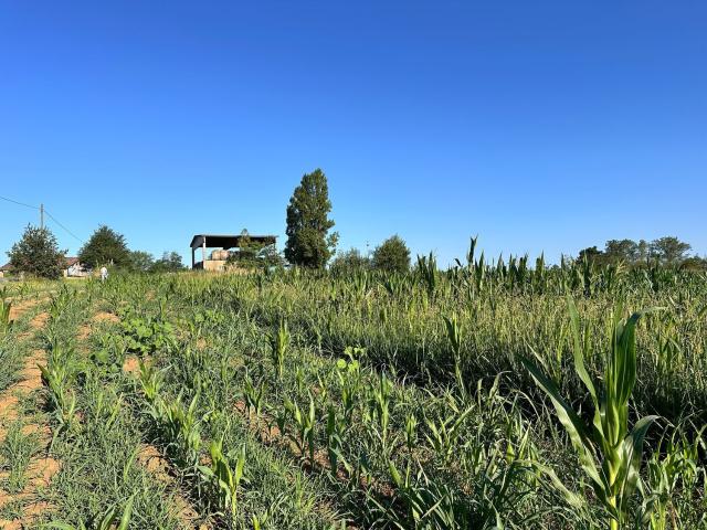Terreno in vendita a Rivergaro, Reggio Emilia