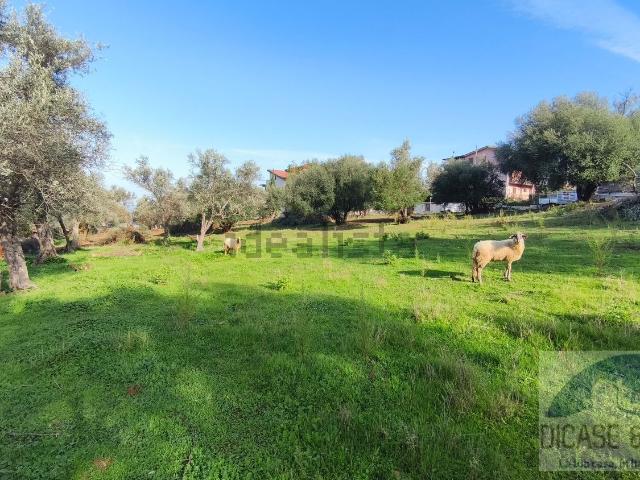 Terreno in vendita a Cavarretta, Sant'agata Di Militello