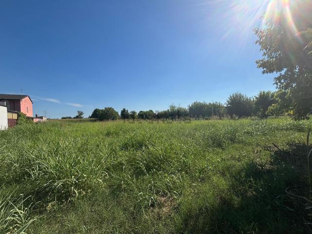 Terreno in vendita a Bovolone, Veneto