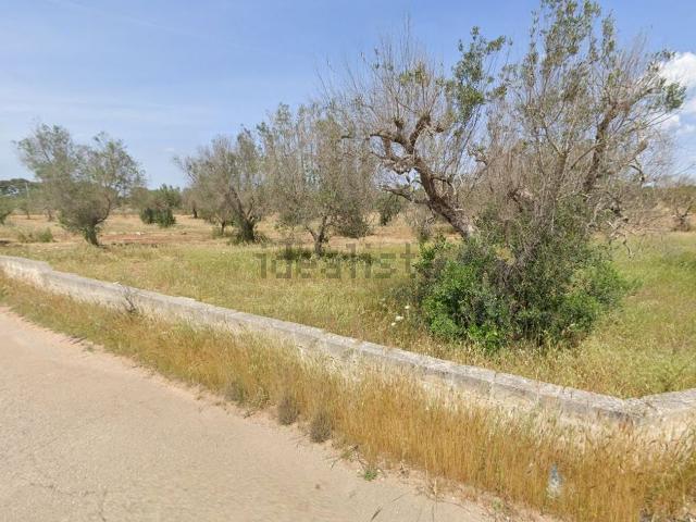 Terreno in vendita a Puglia, Taranto