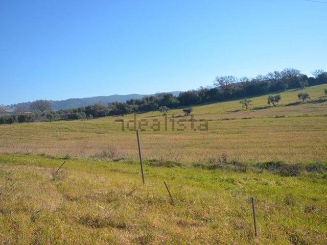 Terreno in vendita a Principina Terra, Monte Argentario