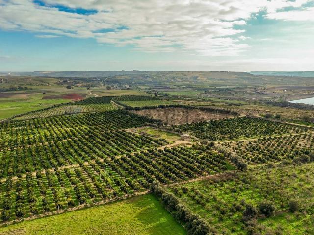 Terreno in vendita a Lentini, Sicilia
