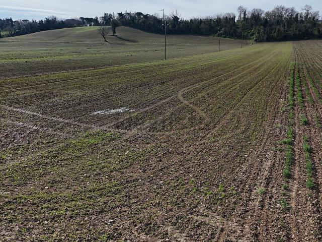 Terreno in vendita a Unione di Comuni della Romagna Forlivese, Quattro