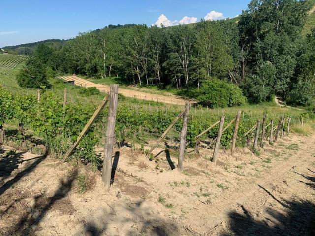 Terreno in vendita a Piemonte, Alessandria