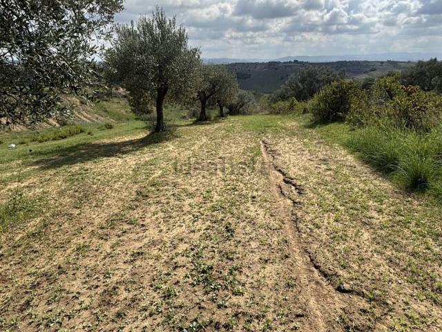 Terreno in vendita a Caltagirone, Catania
