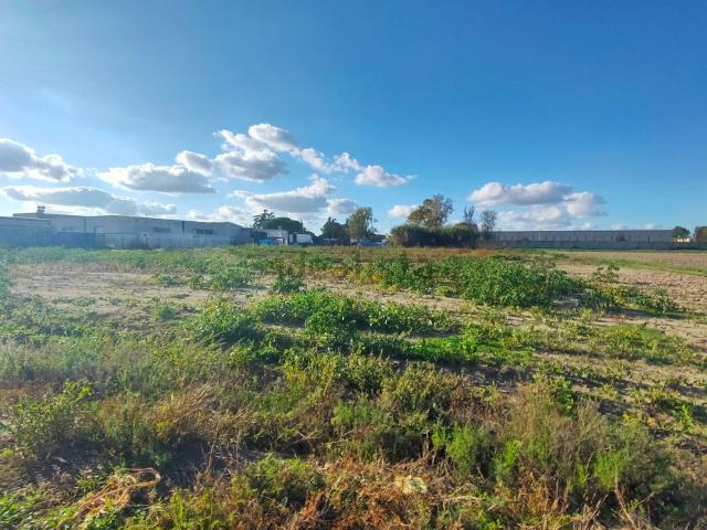 Terreno in vendita a Unione Delta del Po, Mesola