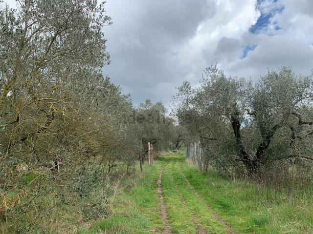 Terreno in vendita a Vitorchiano, Lazio