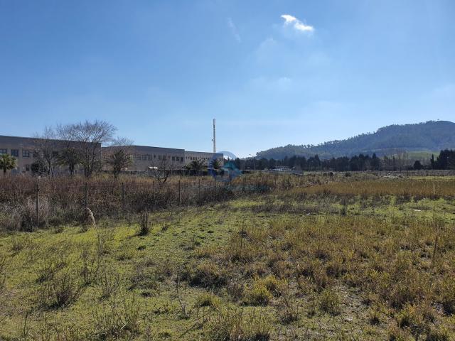 Terreno in vendita a Calabria, Catanzaro