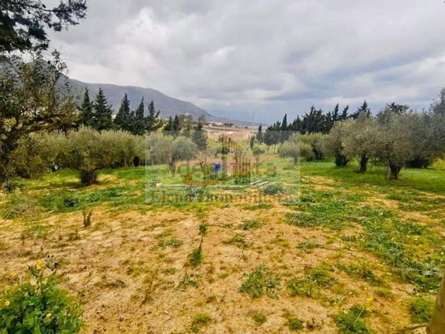 Terreno in vendita a Alcamo, Sicilia