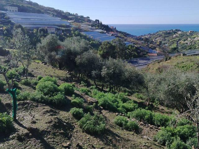 Terreno in vendita a Baiardo, Liguria