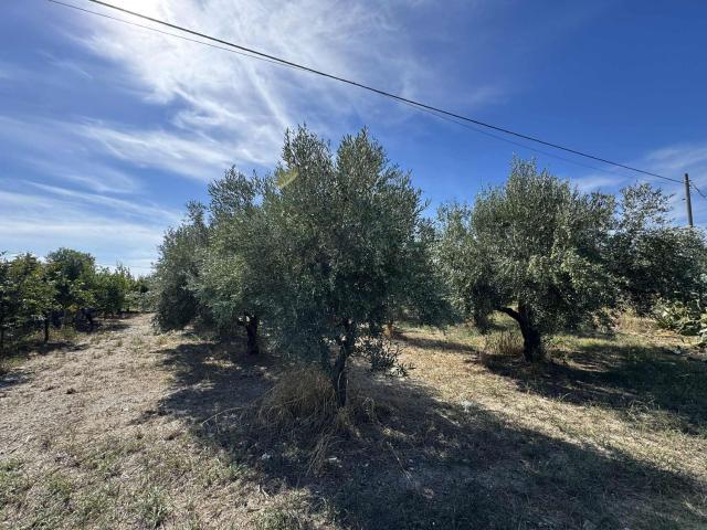 Terreno in vendita a Marinella, Calabria