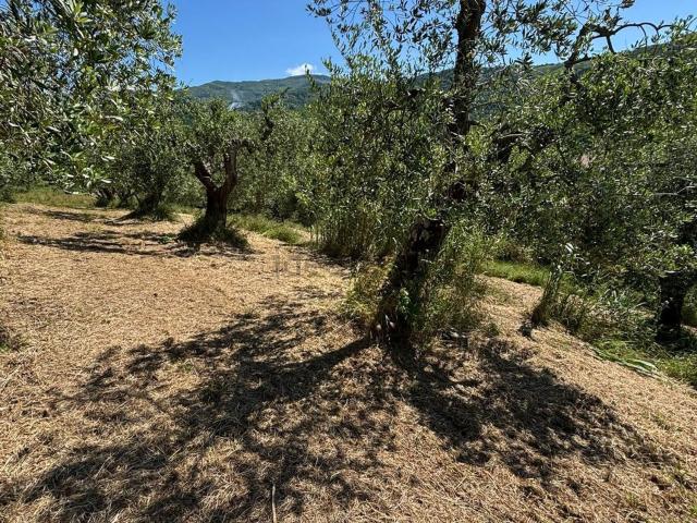 Terreno in vendita a Pistoia, Saturnana