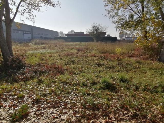 Terreno in vendita a Cerea, Veneto