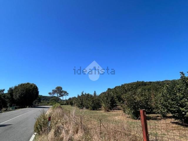 Terreno in vendita a Civita Castellana, Lazio