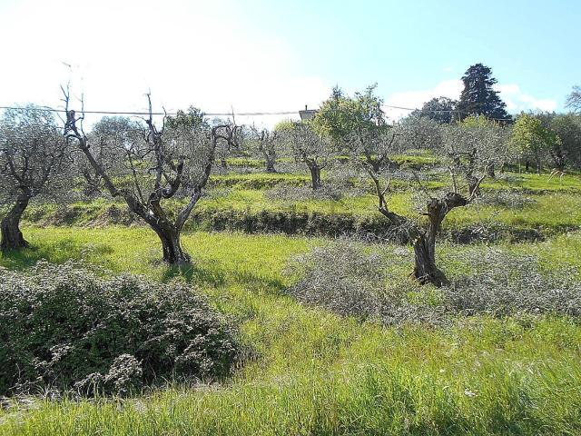 Terreno in vendita a Pistoia, San Felice