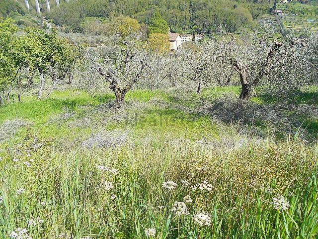 Terreno in vendita a Pistoia, Toscana