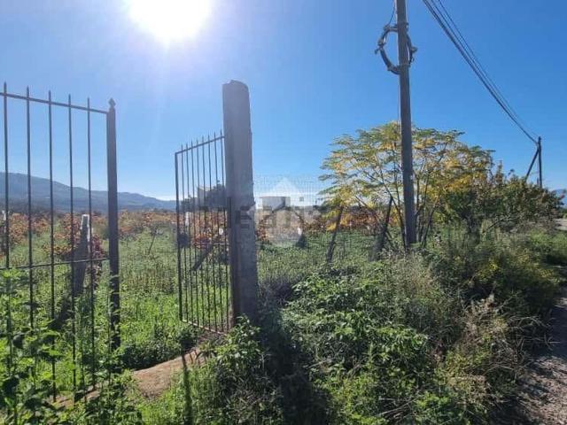 Terreno in vendita a Calabria, Reggio Calabria