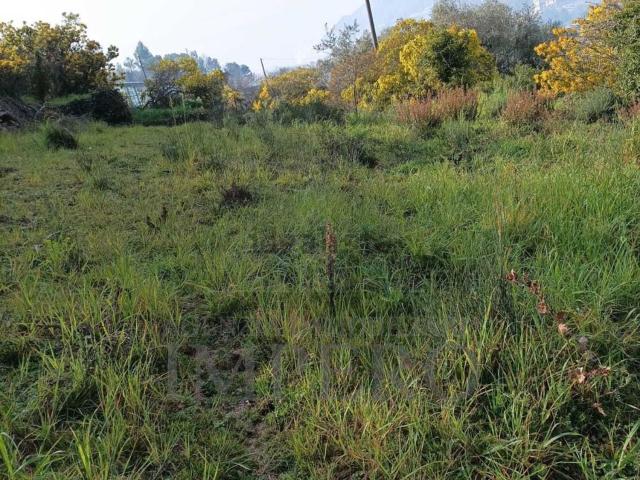 Terreno in vendita a Vallecrosia, Liguria
