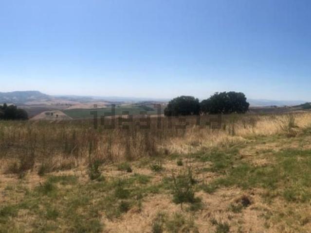 Terreno in vendita a Guglionesi, Molise
