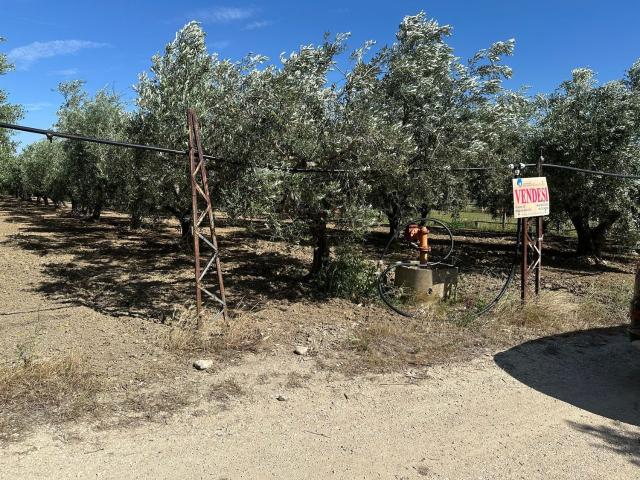 Terreno in vendita a Piane Sant'Angelo, San Salvo