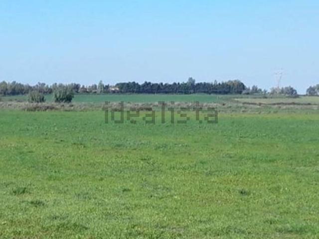 Terreno in vendita a Arborea, Sardigna/Sardegna
