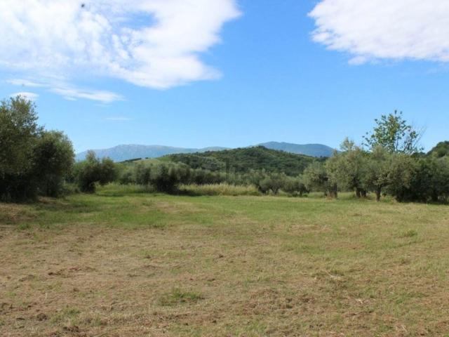 Terreno in vendita a Alanno, Abruzzo