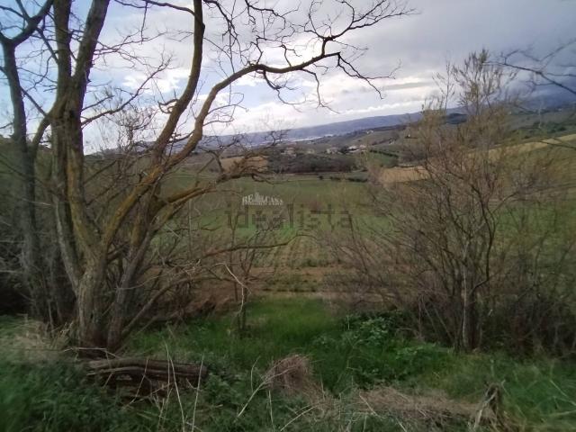 Terreno in vendita a Marche, Ascoli Piceno