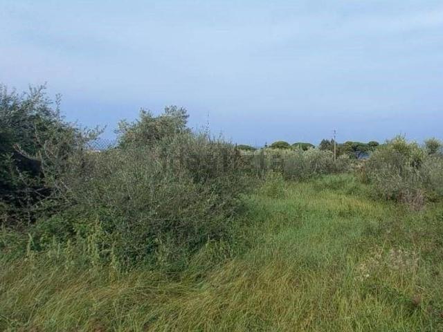 Terreno in vendita a VI Circoscrizione, Messina