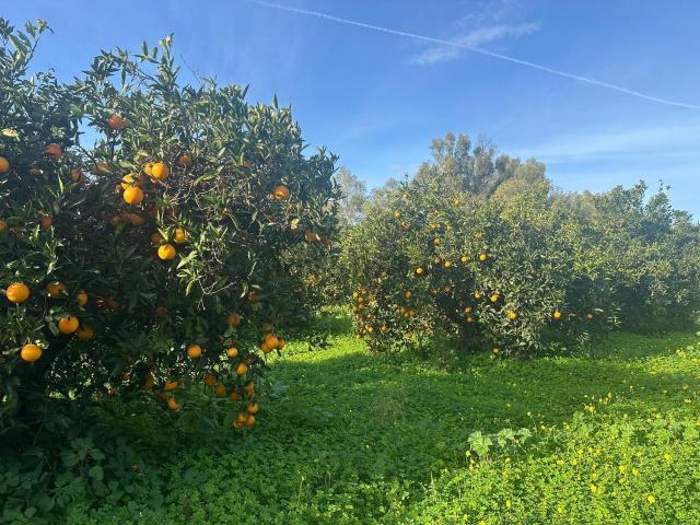 Terreno in vendita a Muravera, Sardigna/Sardegna