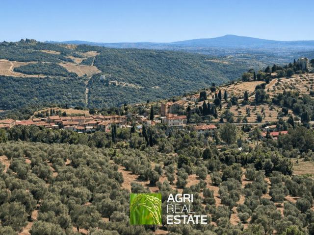 Terreno in vendita a Gaiole In Chianti, Toscana