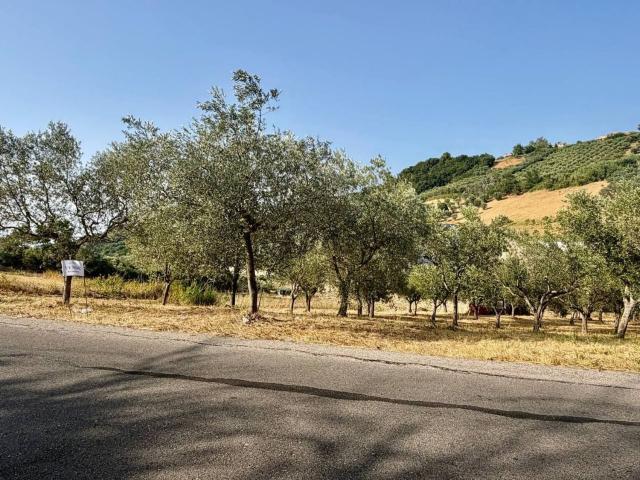 Terreno in vendita a Monteodorisio, Abruzzo