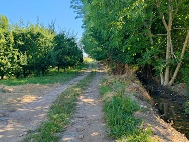 Terreno in vendita a Piemonte, Cuneo