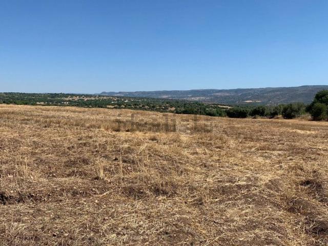 Terreno in vendita a Noto, Sicilia