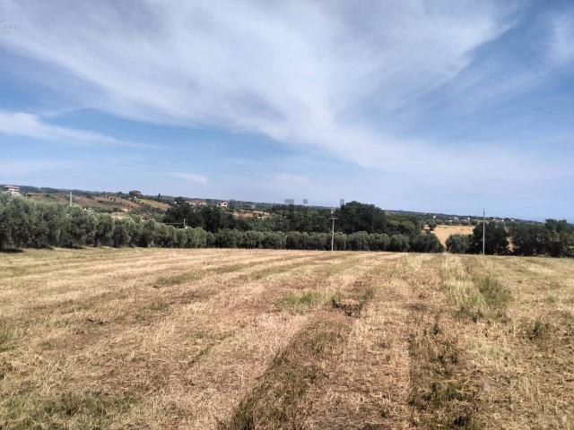 Terreno in vendita a Marche, Ascoli Piceno