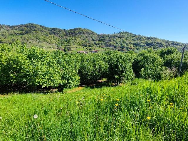 Terreno in vendita a Piemonte, Cuneo