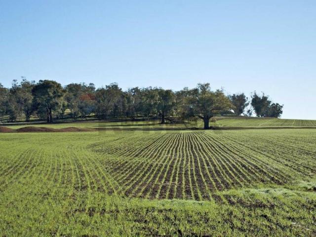 Terreno in vendita a Riesi, Caltanissetta