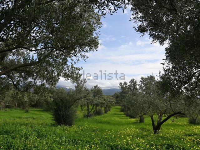 Terreno in vendita a Cuglieri, Sardigna/Sardegna