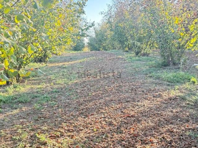Terreno in vendita a Montilapi, Gallese