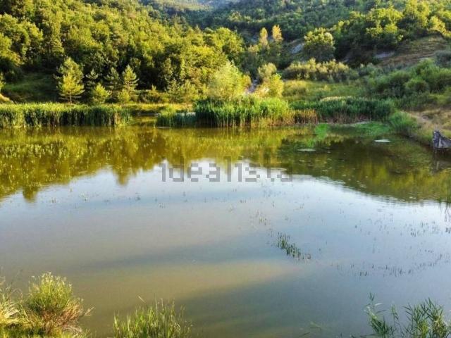 Terreno in vendita a Unione dei comuni Valli del Reno, Lavino e Samoggia, Monte San Pietro