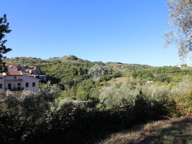 Terreno in vendita a Bocchignano, Montopoli di Sabina