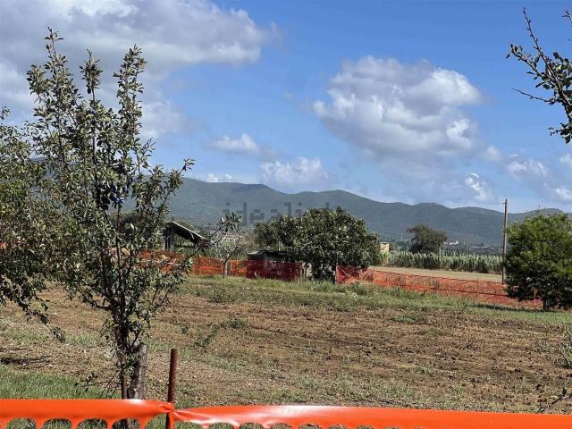 Terreno in vendita a Bibbona, Livorno