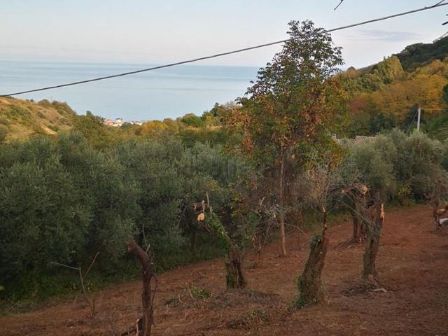 Terreno in vendita a Silvi, Abruzzo